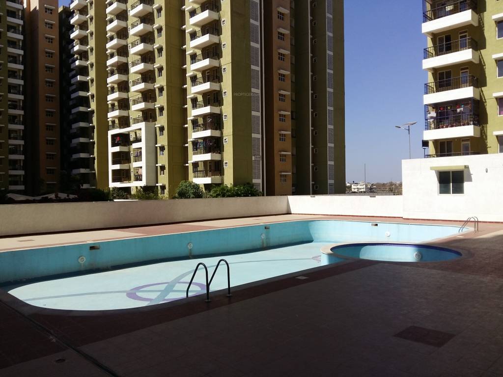  platinum Swimming Pool