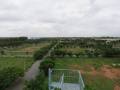 Flamingo Township