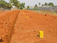  township Plot
