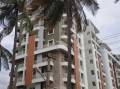 Pranava Group Pranavas BSR Gitaaar