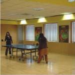  pride-phase-2 Internal Roads