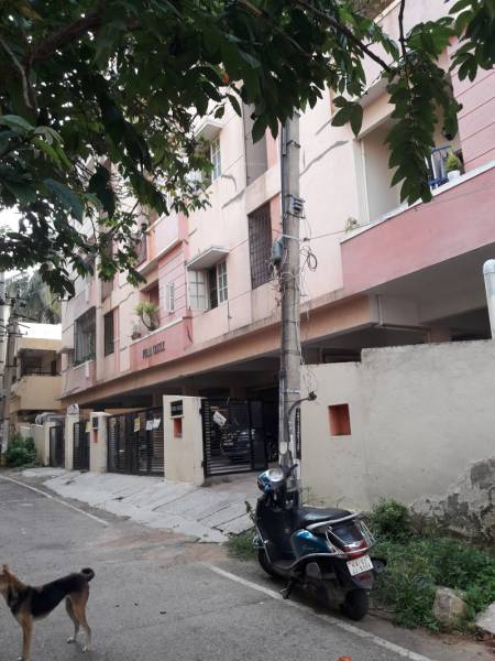 Elevation pearl-castle Elevation