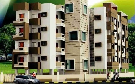 exotica plus Elevation