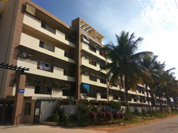 Elevation paradise Elevation