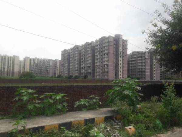  aura-chimera Elevation