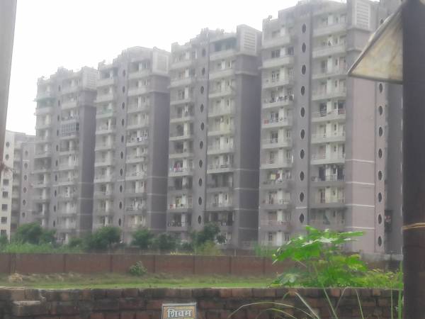  aura-chimera Elevation