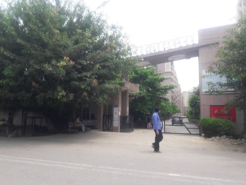  aura chimera Elevation