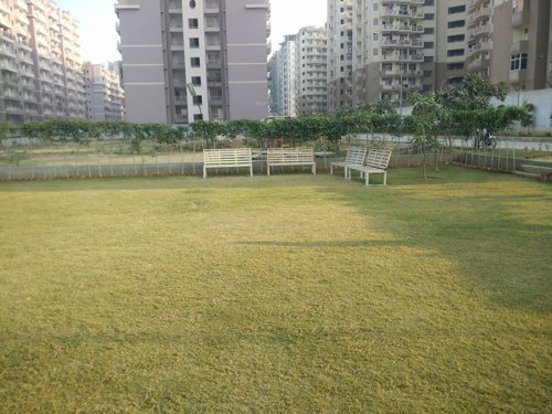  aura-chimera Landscaped Gardens