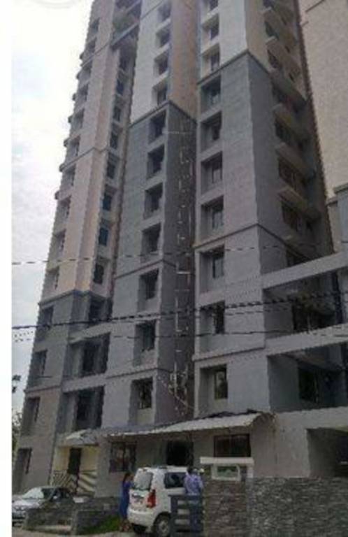 city crown Elevation