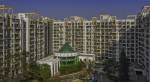 Elevation  anmol-nayantara-gold Elevation