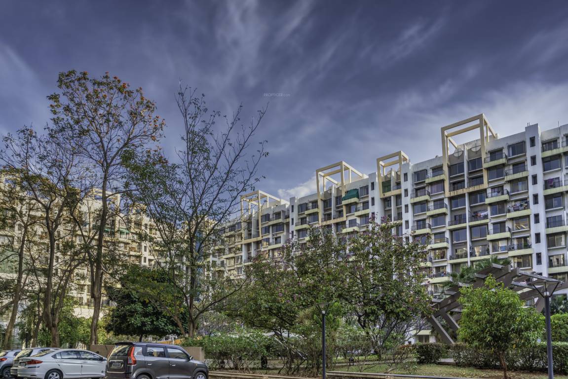  anmol nayantara gold Elevation