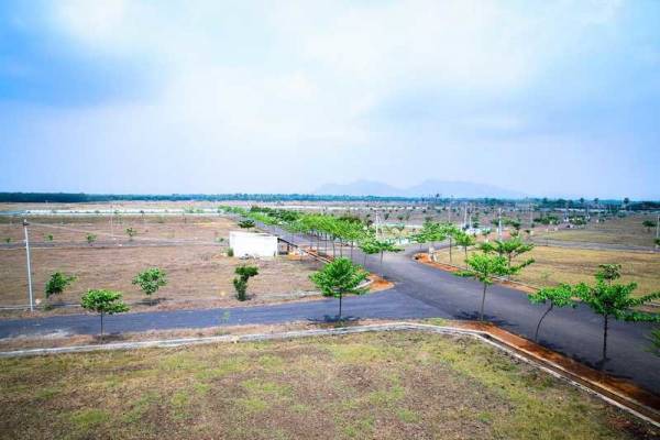 Elevation emerald-city Elevation