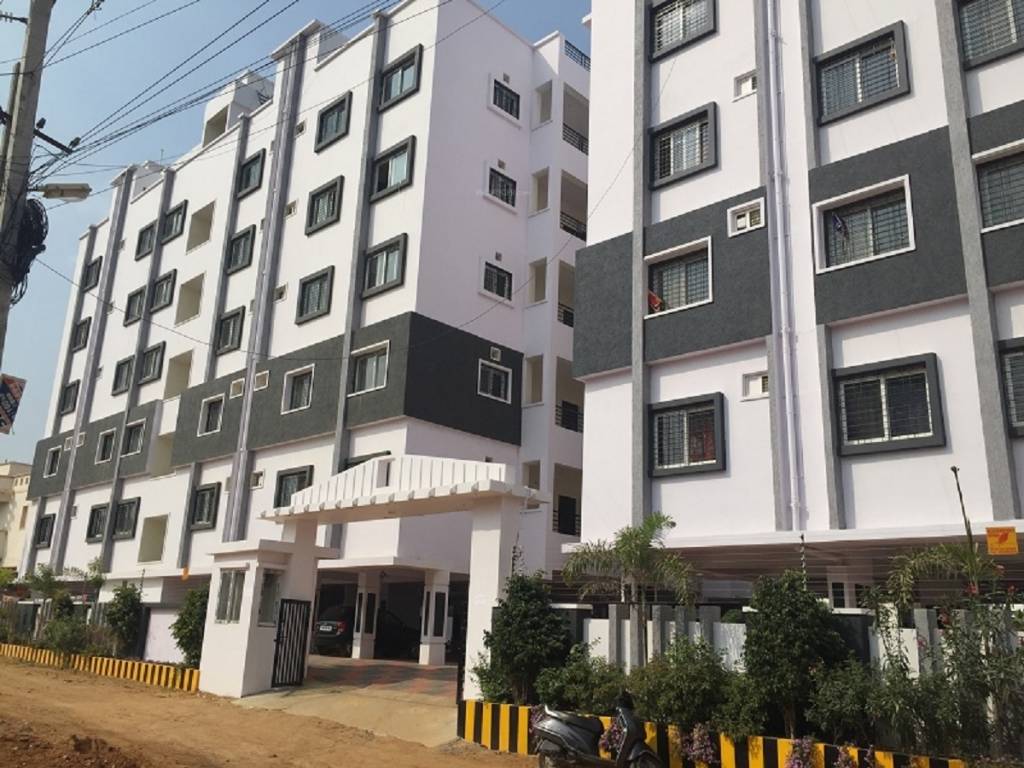 maple tree Elevation