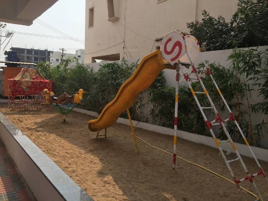 maple tree Children's play area