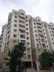 Project Image Project Image