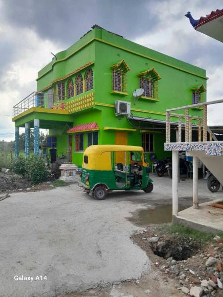  southern-park Others