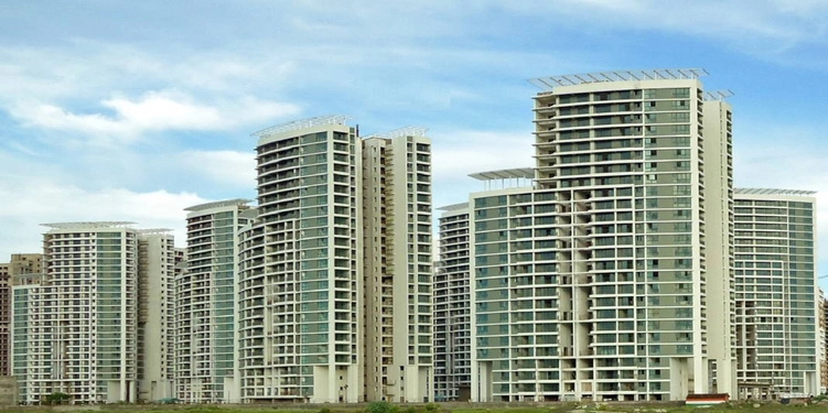  garden Elevation