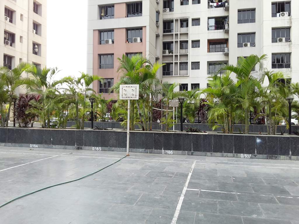  floral Basketball Court