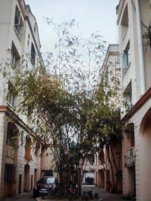 shantibon Images for Project Images for Project