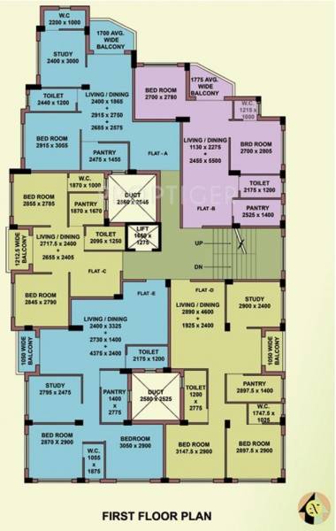 Images for Cluster Plan of Mayfair Oasis