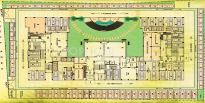 Images for Layout Plan of Lemon Lemon Botany botany Images for Layout Plan of Lemon Lemon Botany