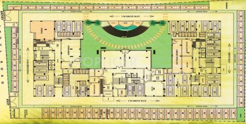 Images for Layout Plan of Lemon Lemon Botany botany Images for Layout Plan of Lemon Lemon Botany