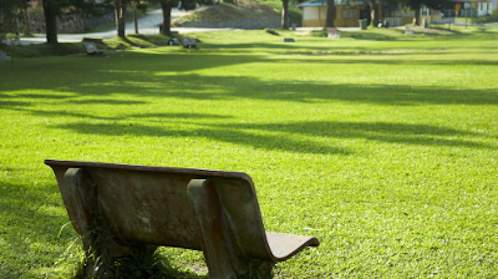  ganga fria phase 1 Landscaped Gardens