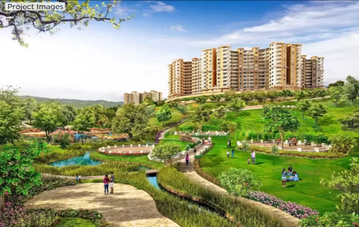 forest trails meadows Elevation