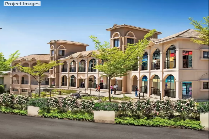 forest trails meadows Elevation