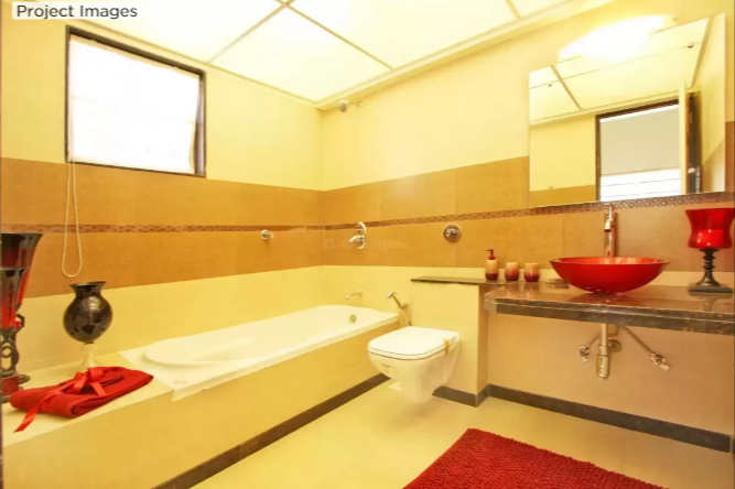 forest trails meadows Others