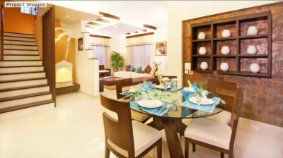 Others forest-trails-meadows Others