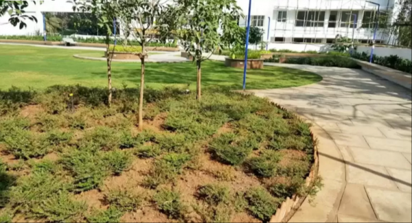  jainam-elysium Others