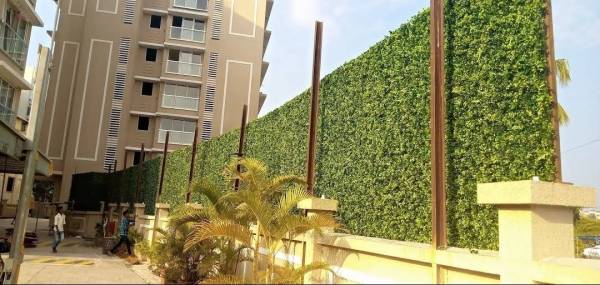 Elevation residency Elevation