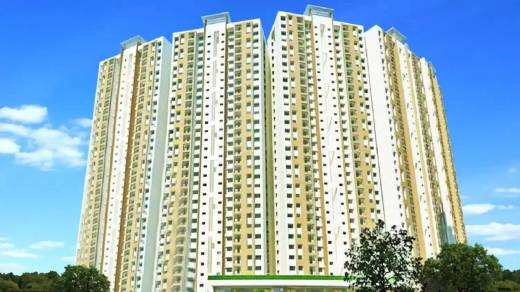 platino Elevation Elevation