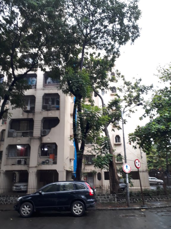  gardens tulip Elevation