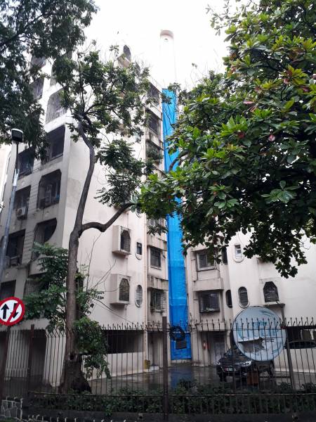  gardens-tulip Elevation