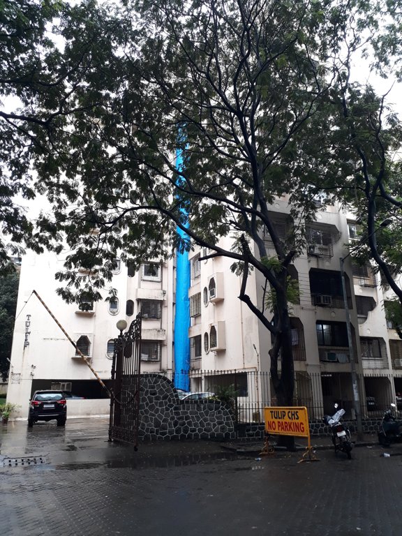  gardens tulip Elevation