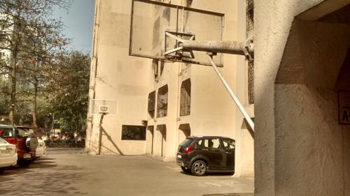  gardens-tulip Basketball Court