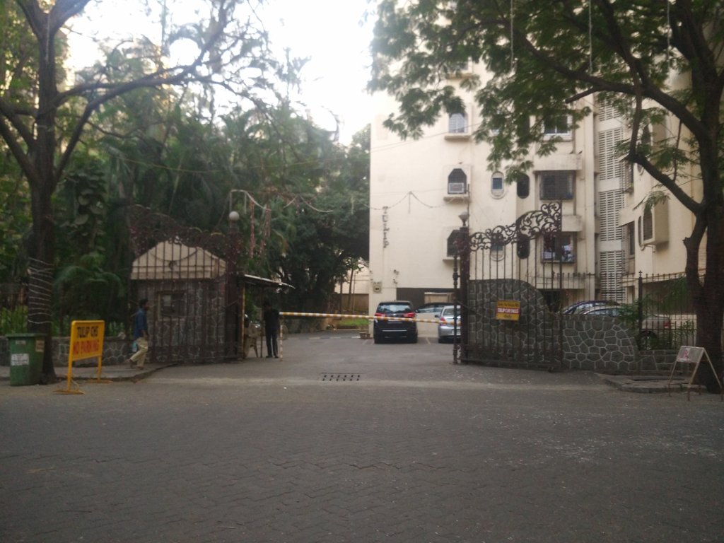  gardens tulip Others