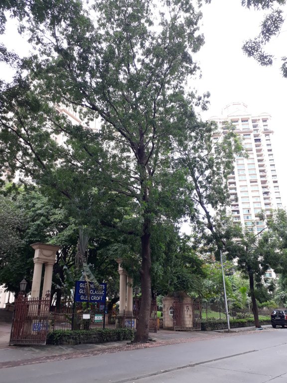  gardens glen classic Elevation