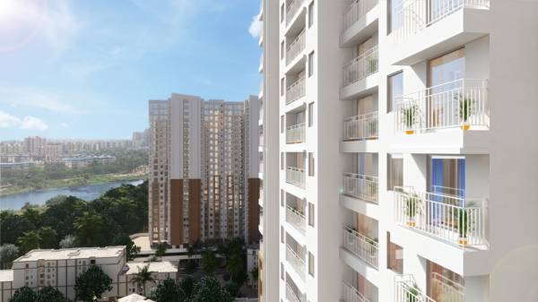  riverwood-park Elevation