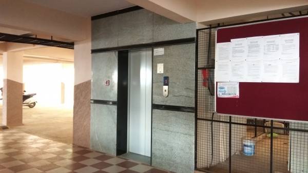 Lift Available pearl Lift Available