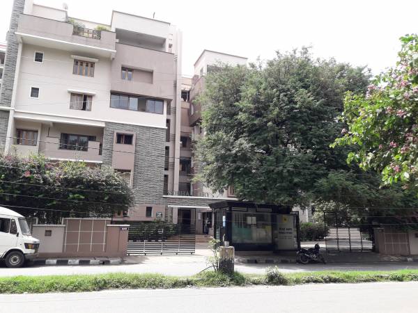  ivory Images for Project