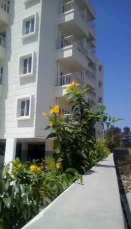  vardhini-and-madku-d-homes Landscape Garden and Tree Planting