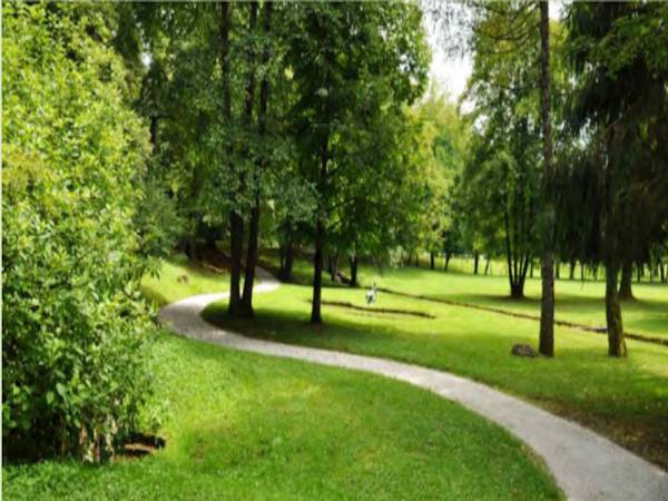  cedar Landscaped Gardens