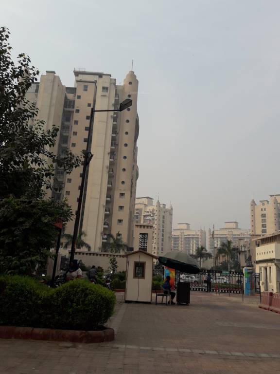 greens paradiso Images for Project