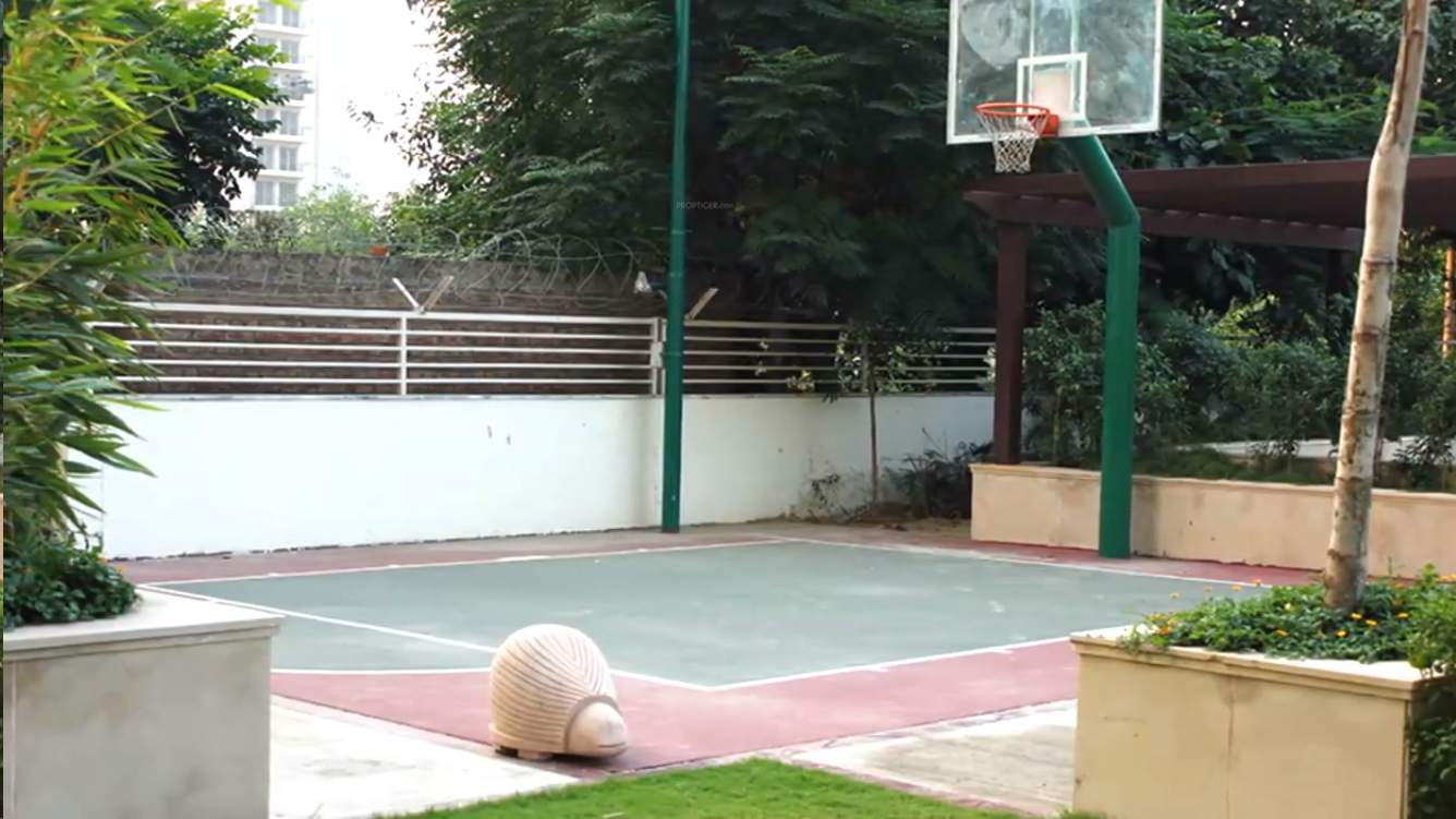  mgf the vilas Basketball Court