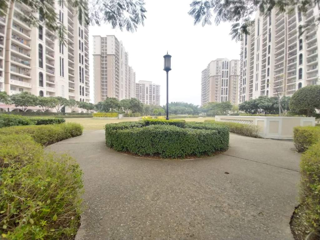  new town heights 3 Landscape Garden and Tree Planting