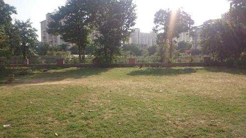  mayfield-garden Landscape Garden and Tree Planting