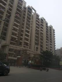 Images for Elevation of Gaursons and Saviour Builders Gaur City 1st Avenue Images for Elevation of Gaursons and Saviour Builders Gaur City 1st Avenue
